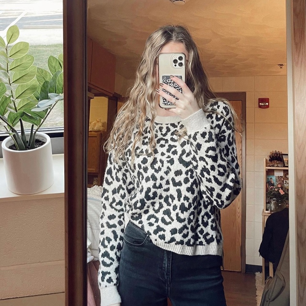 Dry Goods Cheetah Sweater